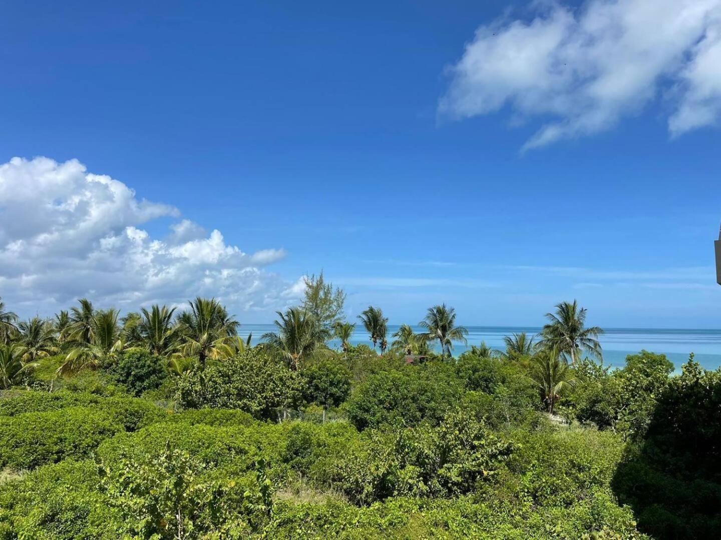 Hermoso Departamento Con Vista Al Mar Isla Holbox Luaran gambar
